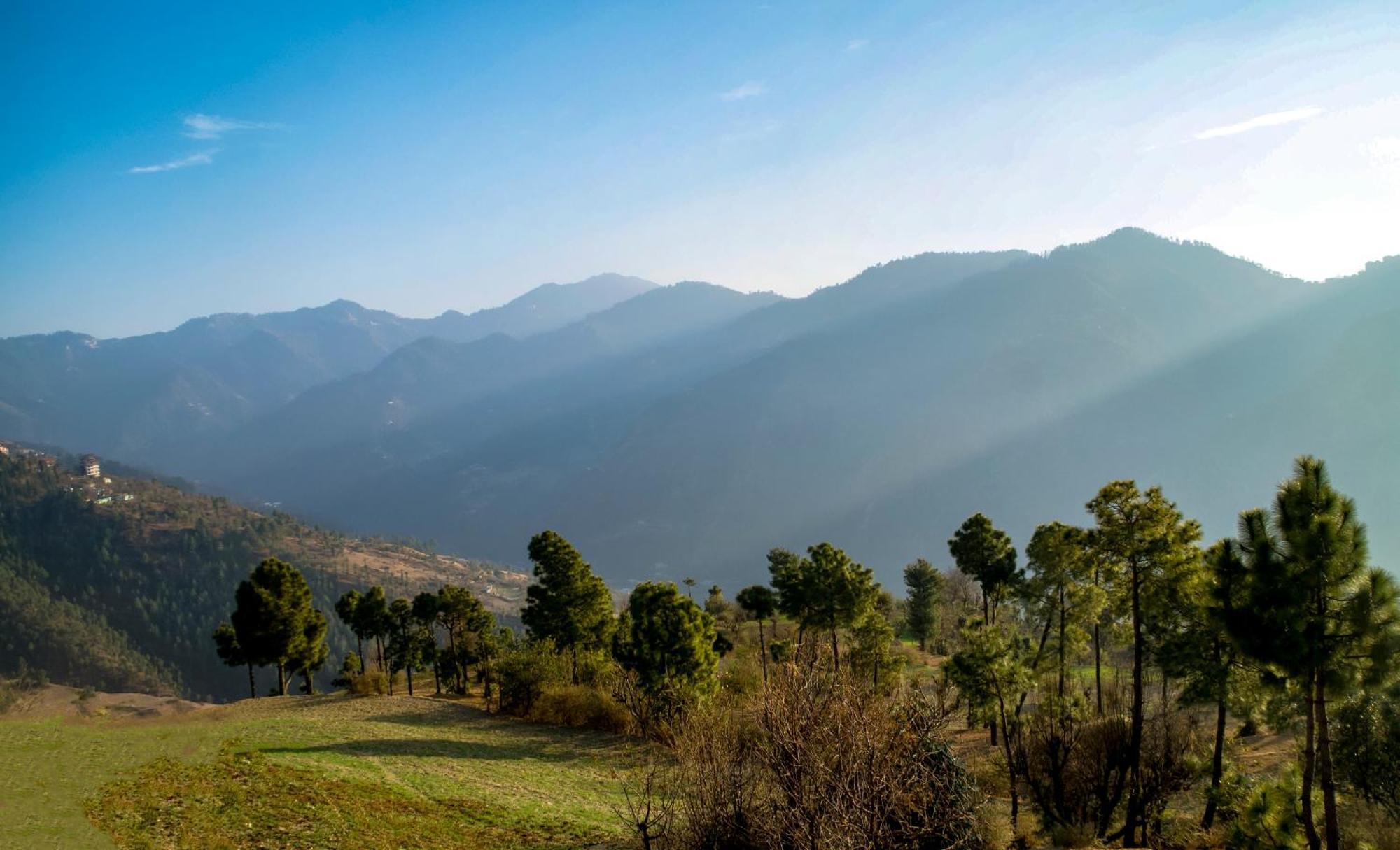 The Manor Luxury Apartments, Shimla ماشوبرا المظهر الخارجي الصورة