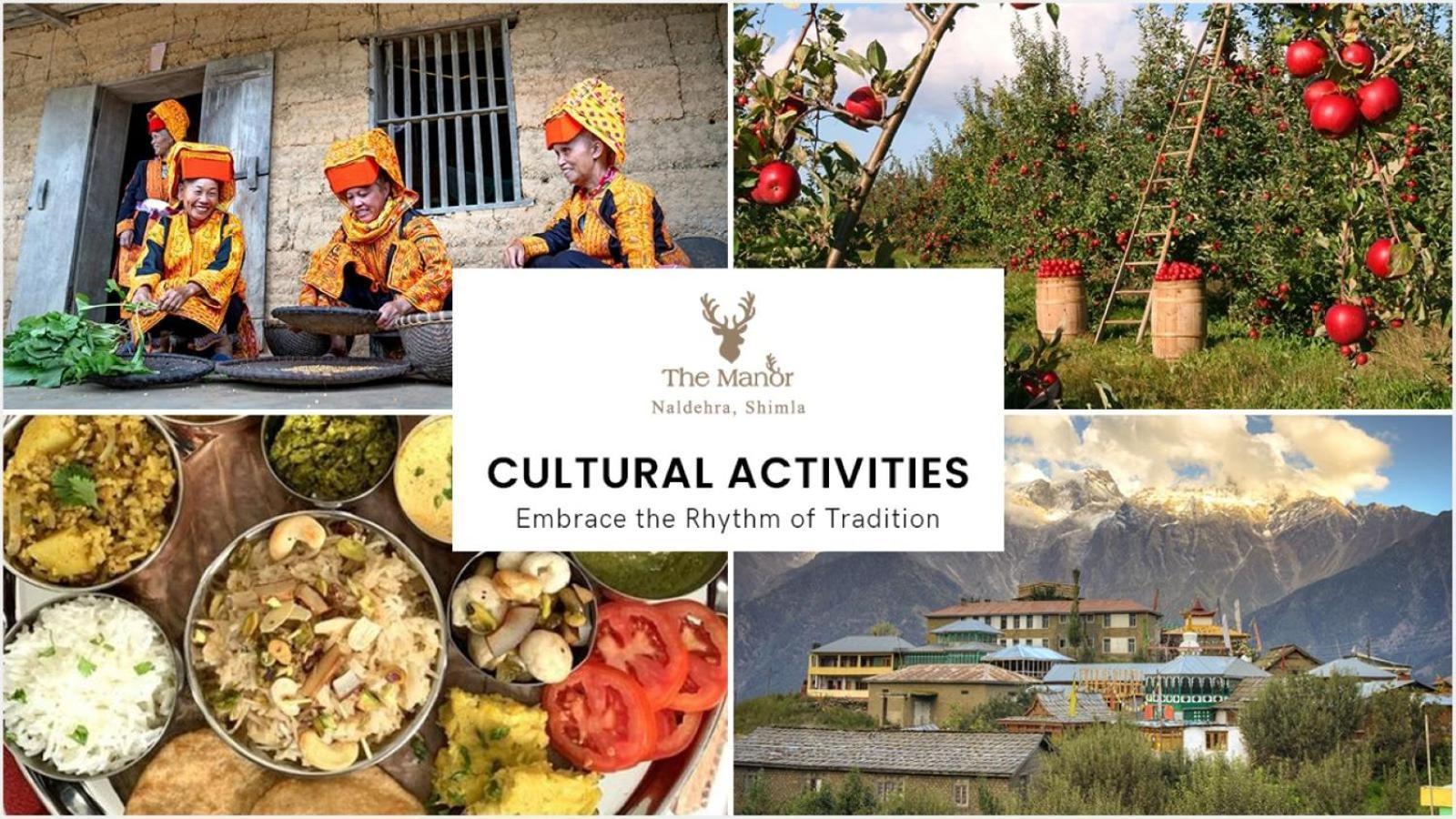 The Manor Luxury Apartments, Shimla ماشوبرا المظهر الخارجي الصورة